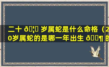 二十 🦍 岁属蛇是什么命格（20岁属蛇的是哪一年出生 🐶 的）